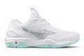 Mizuno Wave Stealth 6