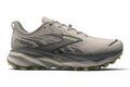 Brooks Cascadia 19