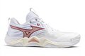 Mizuno Wave Momentum Elite