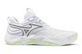 Mizuno Wave Momentum Elite
