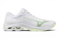 Mizuno Wave Lightning Pro