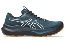 Asics GT-2000 14 TR