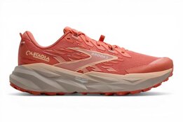 Brooks Cascadia 19