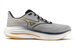 Mizuno Wave Rider 29
