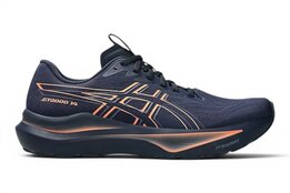 Asics GT-2000 14