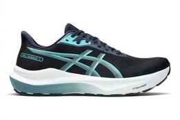 Asics Gel-Pursue 11 